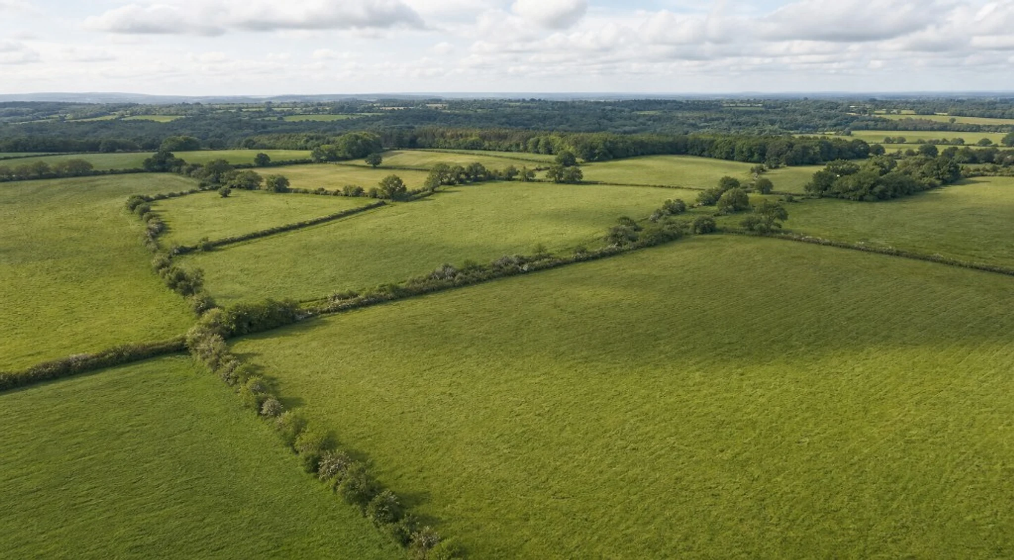 Open farmland on the edge of a Home Counties village